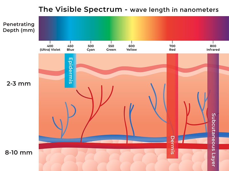 skin-penetration-chart